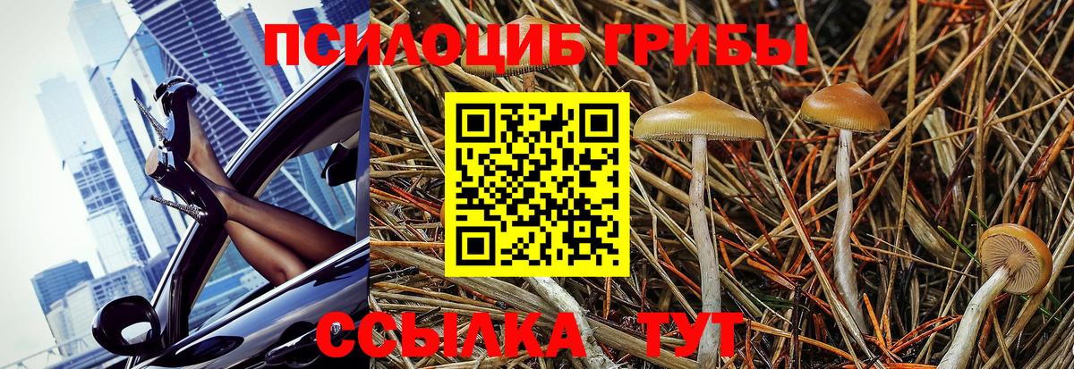 Междуреченск  Галлюциногенные грибы Cubensis  Вход с VPN  Галлюциногенные грибы GOLDEN TEACHER 